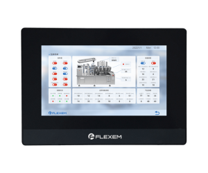 Flexem FE6070C